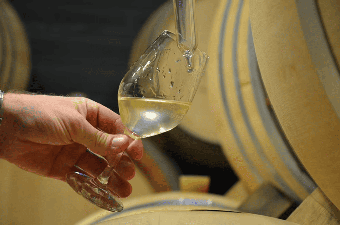 domaine famille bourgeois degustation 1.jpg
