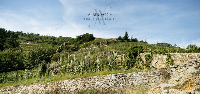 alain voge terroir